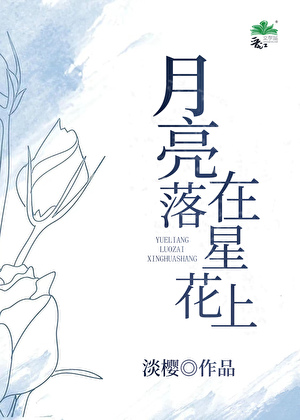 月亮落在星花上